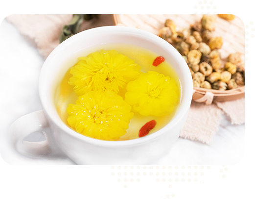 始建于2015年，實(shí)力雄厚