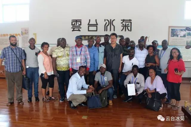 目測(cè)這朵菊花要火，國(guó)外專(zhuān)家為它頻頻而來(lái)······